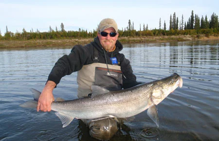 Sheefish
