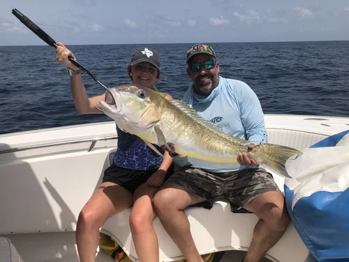 Tilefish Golden