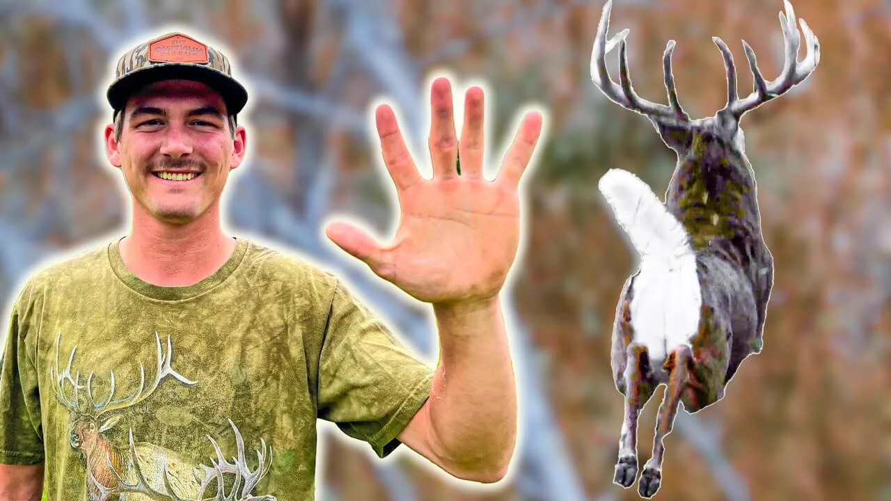 Deer Hunting Tips for Beginners: 5 Essential Tactics You Need to Know
