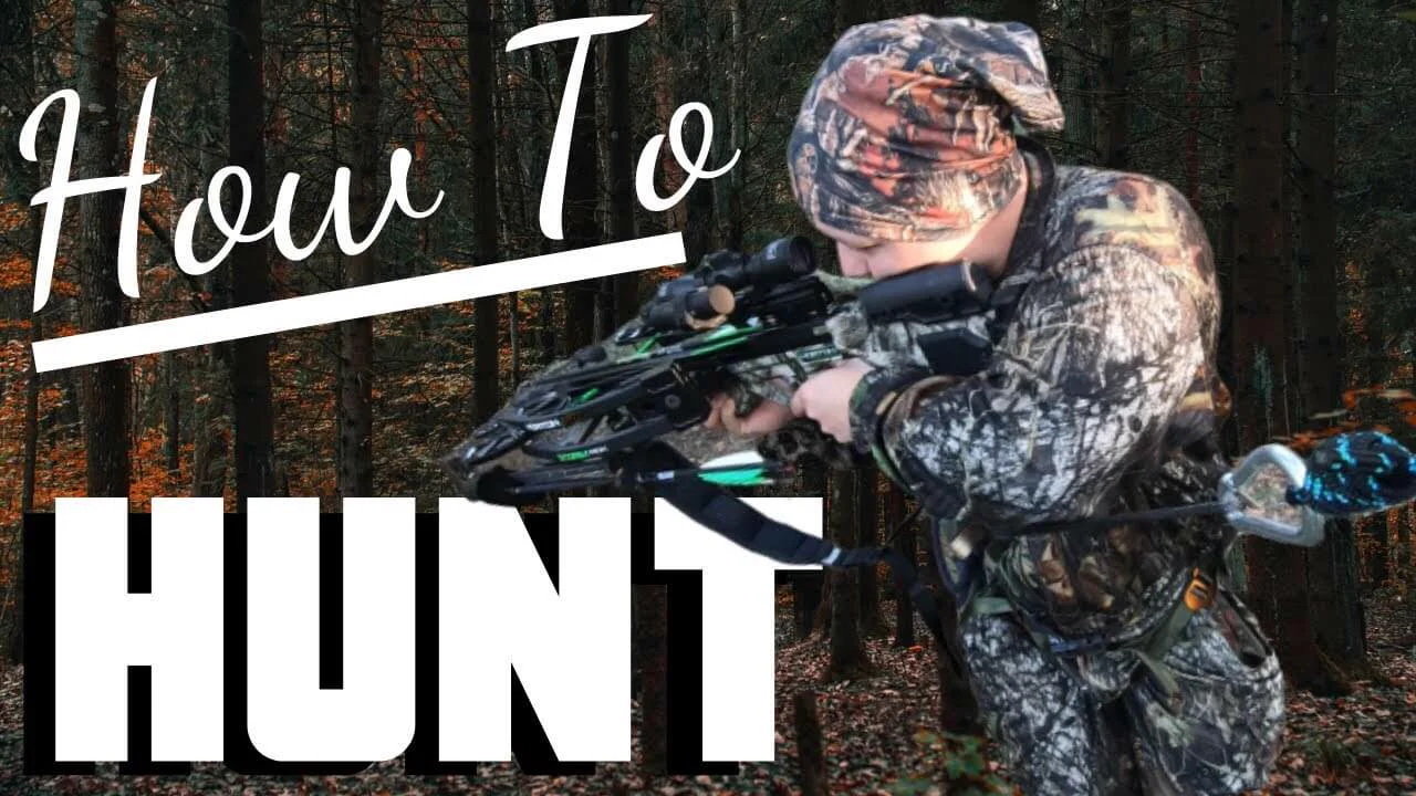 Hunting for Beginners: Whitetail Deer Hunting 101 Tips